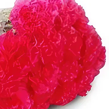 Nepal flowers  -  First Love Flower Bouquet/Arrangement