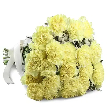 Palpa flowers  -  Bright Day Flower Delivery