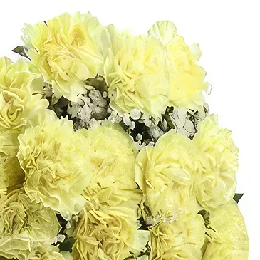 Nepal flowers  -  Bright Day Flower Bouquet/Arrangement
