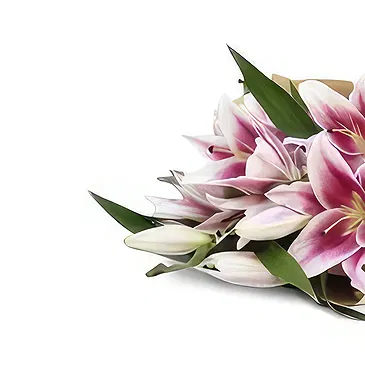 Nepal flowers  -  Sweet Vibes Flower Bouquet/Arrangement