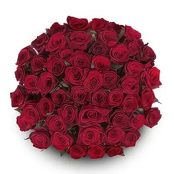 Dirzioniskes flowers  -  Bag Of Love Flower Delivery