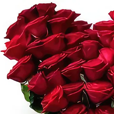 Lithuania flowers  -   Sentiment Box Flower Bouquet/Arrangement