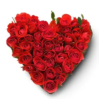 Dirzioniskes flowers  -  Good Luck Flower Delivery