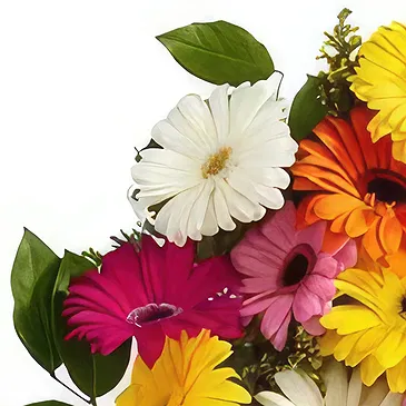 Nepal flowers  -  Friendliness Flower Bouquet/Arrangement