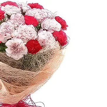 Nepal flowers  -  Pretty Flowers Flower Bouquet/Arrangement