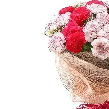 Nepal flowers  -  Pretty Flowers Flower Bouquet/Arrangement