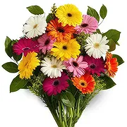 Nepal online Florist - Miscellaneous Flowers Bouquet