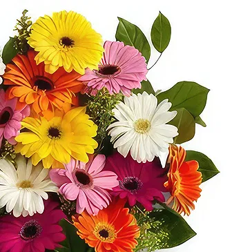 Nepal flowers  -  Miscellaneous Flowers Flower Bouquet/Arrangement