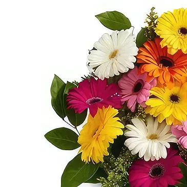 Nepal flowers  -  Miscellaneous Flowers Flower Bouquet/Arrangement