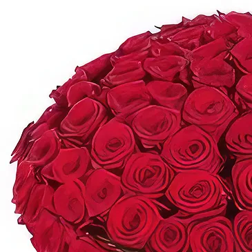 Rupa flowers  -  Fresh Red Flower Bouquet/Arrangement