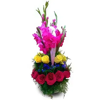 Palpa flowers  -  Pinkish Petals Flower Delivery
