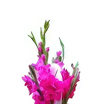 Nepal flowers  -  Pinkish Petals Flower Bouquet/Arrangement
