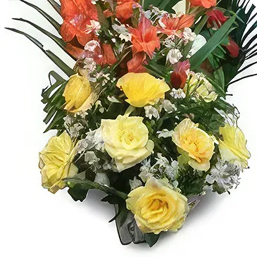 Chhededaha blomster- Tender Touch Blomsterarrangementer bukett