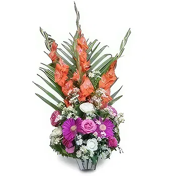 Palpa flowers  -  Special Selection Flower Delivery