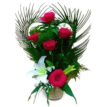 Palpa flowers  -  Artfully Organized Flower Delivery