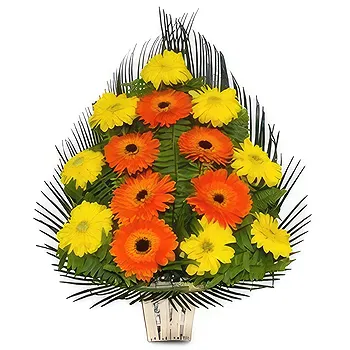 Palpa flowers  -  Significant Arrangements Flower Delivery