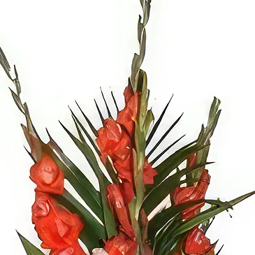 Nepal flowers  -  Cheerful Pinks Flower Bouquet/Arrangement