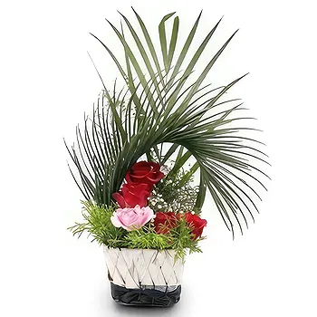 Palpa flowers  -  Enfolded Love Flower Delivery