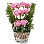 Nepal online Florist - Innocent Love Bouquet
