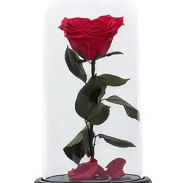 Adma flowers  -  Enchanted Rose Flower Bouquet/Arrangement
