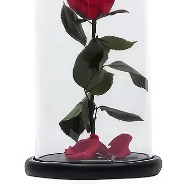 Adma flowers  -  Enchanted Rose Flower Bouquet/Arrangement