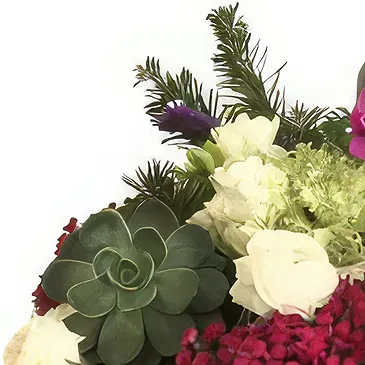 Adma flowers  -  Unique Celebration Flower Bouquet/Arrangement