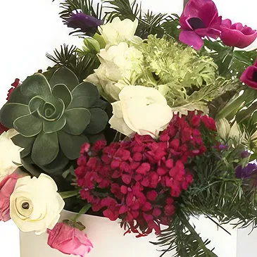 Adma flowers  -  Unique Celebration Flower Bouquet/Arrangement