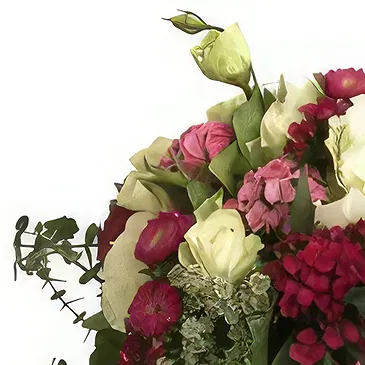 Adma flowers  -  Soft Hamper  Flower Bouquet/Arrangement