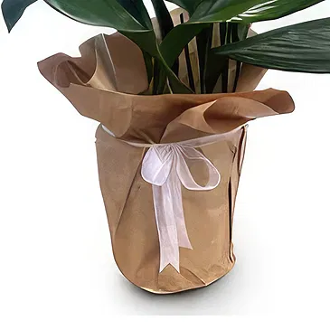 Adma flowers  -  Natural Touch Flower Bouquet/Arrangement
