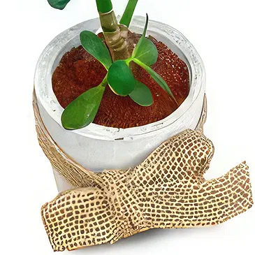 Adma flowers  -  Lovely Succelent  Flower Bouquet/Arrangement