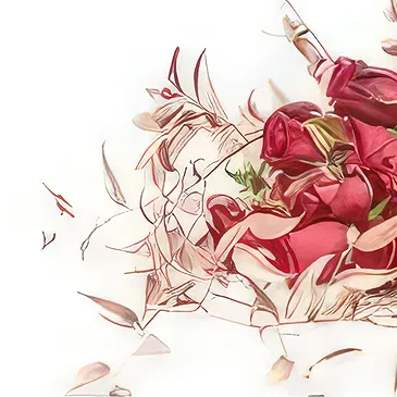 An-Najadah blomster- Rød fløyel Blomsterarrangementer bukett