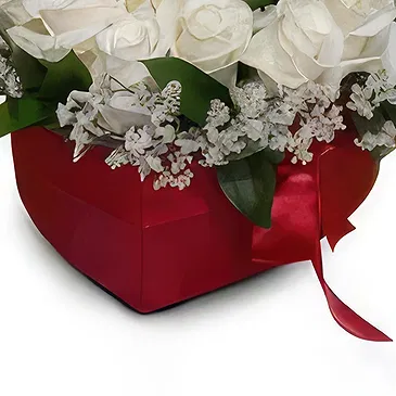St. Maarten flowers  -  Burning Beauty Flower Bouquet/Arrangement