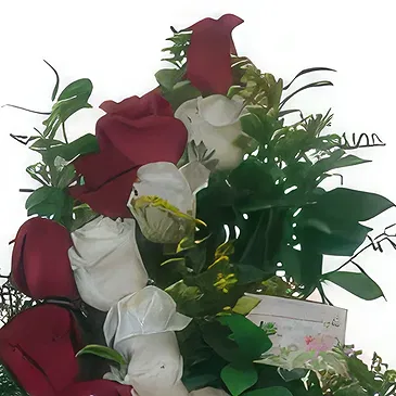 St. Maarten flowers  -  Velvet Affection Flower Bouquet/Arrangement