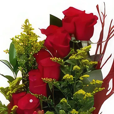 St. Maarten flowers  -  Ravishing Roses Flower Bouquet/Arrangement