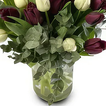 Estonia flowers  -  Spring Choice Flower Bouquet/Arrangement