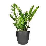 Westerland online Florist - The Craft Corner Bouquet