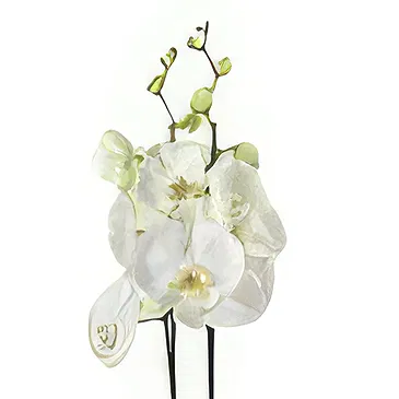 Rotterdam flowers  -  The Memento Shop Flower Bouquet/Arrangement