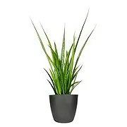 Holland online Florist - Present Perfection Bouquet