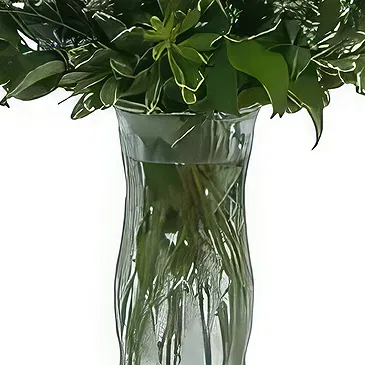 Sa Indioteria blomster- Rose symfoni Blomsterarrangementer bukett