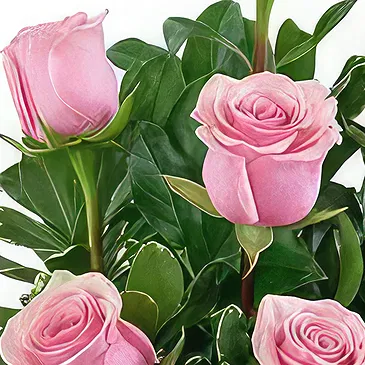 Sa Indioteria blomster- Roser i harmoni Blomsterarrangementer bukett