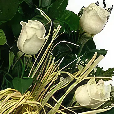 Sa Indioteria blomster- Hundrefold lidenskap Blomsterarrangementer bukett
