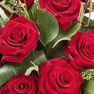 Sa Indioteria blomster- Regal Rose Radiance Blomsterarrangementer bukett
