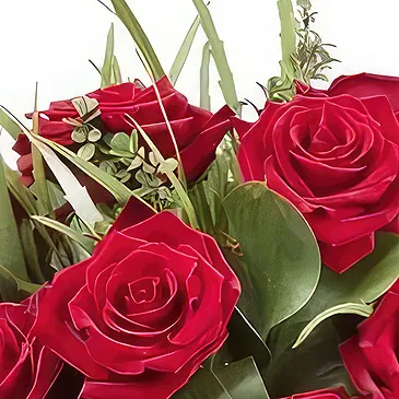 Sa Indioteria blomster- Regal Rose Radiance Blomsterarrangementer bukett