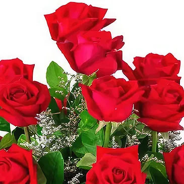 Sa Indioteria blomster- Blooming Century Blomsterarrangementer bukett