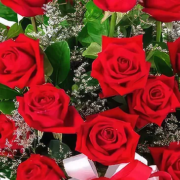 Sa Indioteria blomster- Blooming Century Blomsterarrangementer bukett