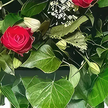 Sa Indioteria blomster- Perfekt valg Blomsterarrangementer bukett