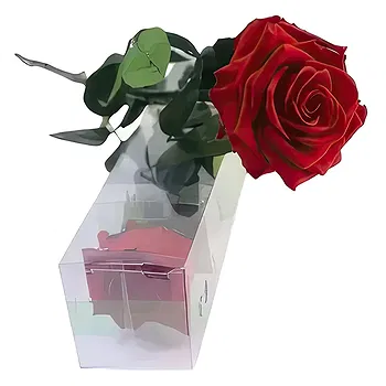 Sa Indioteria blomster- Varig Lovebud Blomst Levering
