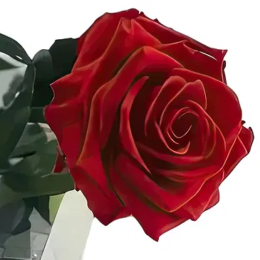 Sa Indioteria blomster- Varig Lovebud Blomsterarrangementer bukett