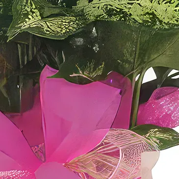 Sa Indioteria blomster- Jade Pothos Blomsterarrangementer bukett