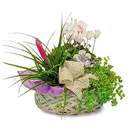 Sa Indioteria Online blomsterbutikk - Frukt sjarm Bukett